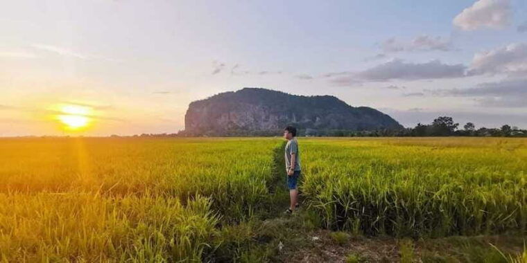 penangfull-day-tour-to-kedah-with-local-guide-and-driver