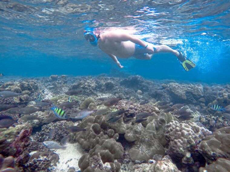 phi-phi-bamboo-islands-premium-day-trip-w-seaview-lunch