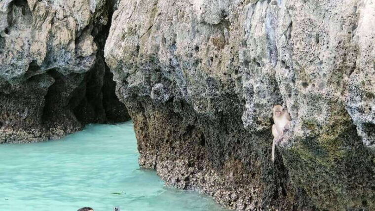 phi-phi-islands-private-longtail-boat-6-hour-trip