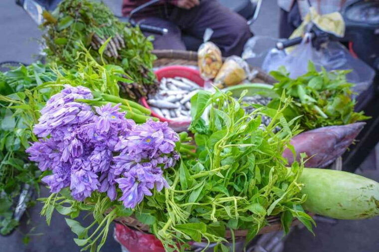 phnom-penh-morning-market-guided-breakfast-tour-by-tuktuk