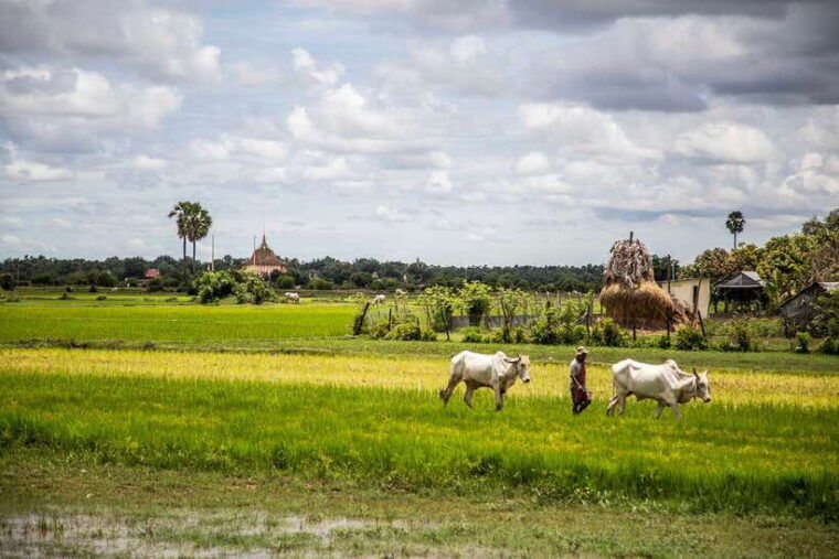 phnom-penh-phnom-oudong-koh-chen-village-lunch-include