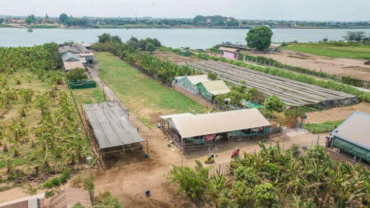 phnom-penh-silk-island-sunset-haft-day-vespa-tour
