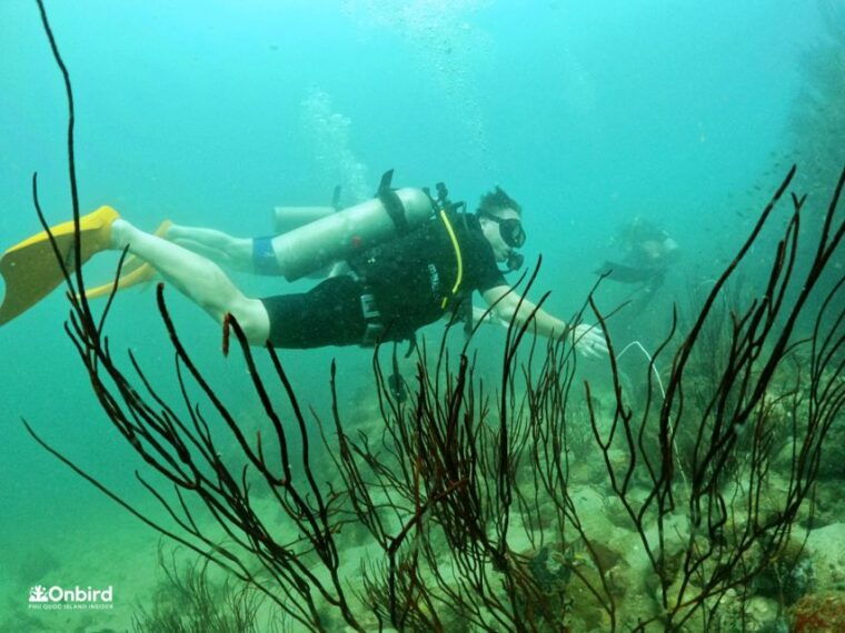 phu-quoc-scuba-diving-experience-for-all-levels