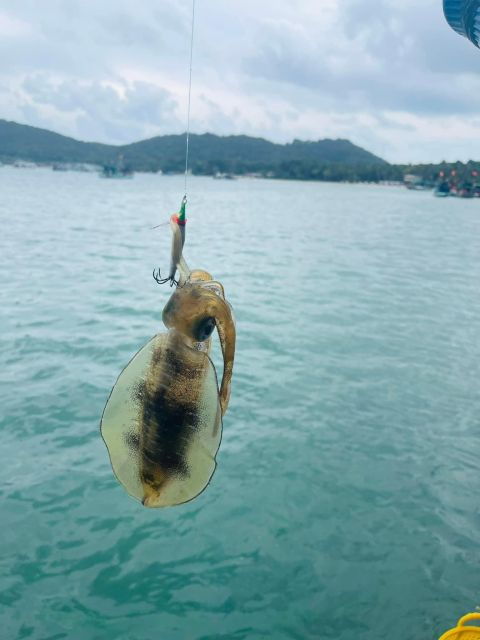 phu-quoc-squid-fishing-tour-with-sunset-views-dinner