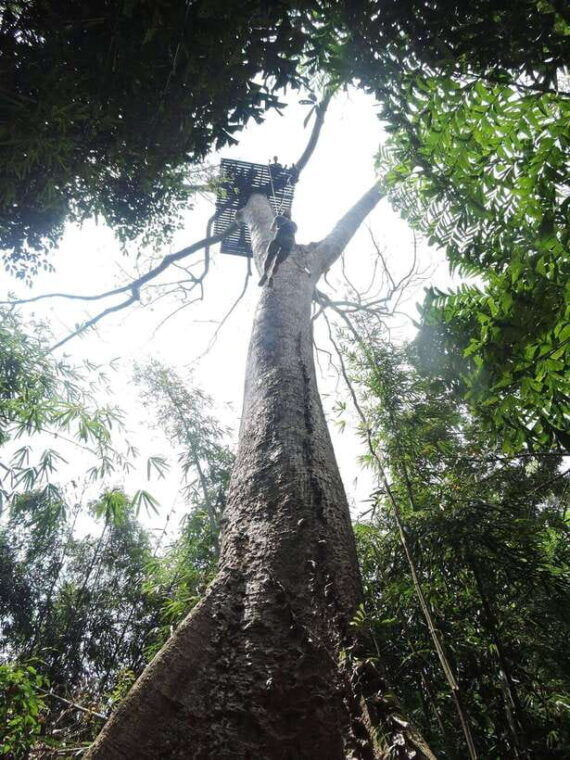 phuket-big-buddha-viewpoint-atv-tour-and-zipline-adventure