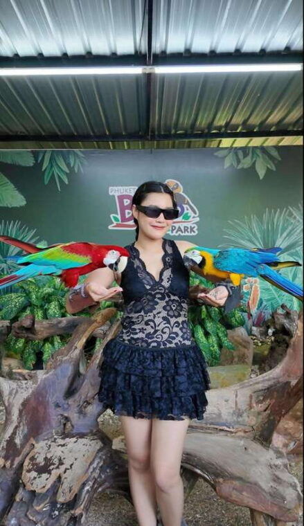 phuket-bird-park-entry-ticket