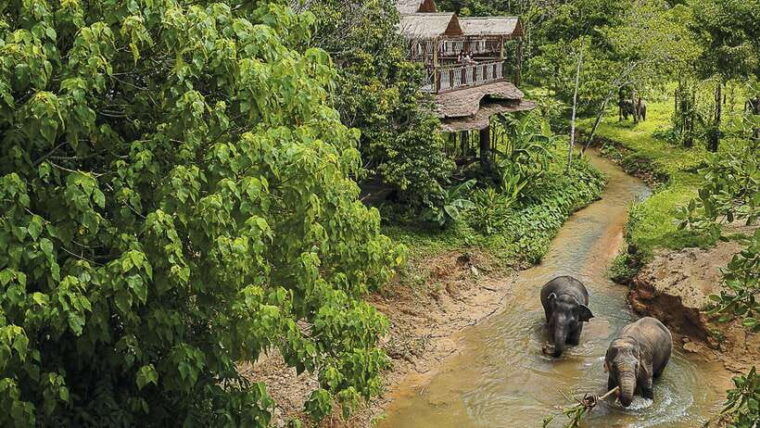 phuket-elephant-sanctuary-half-day-with-vegetarian-meal