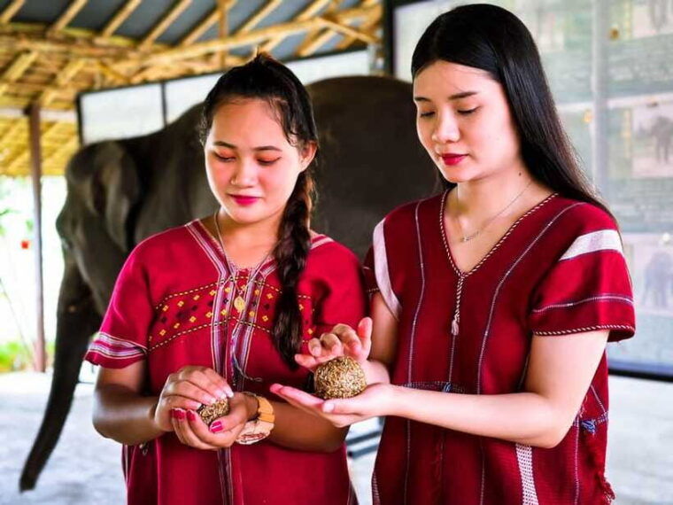 phuket-experience-feeding-and-bathing-elephants-1-5-hrs