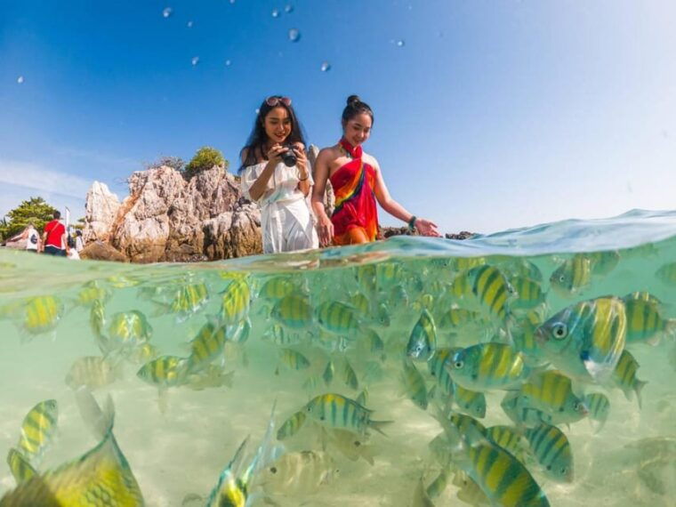 phuket-khai-islands-premium-speedboat-half-day-adventure