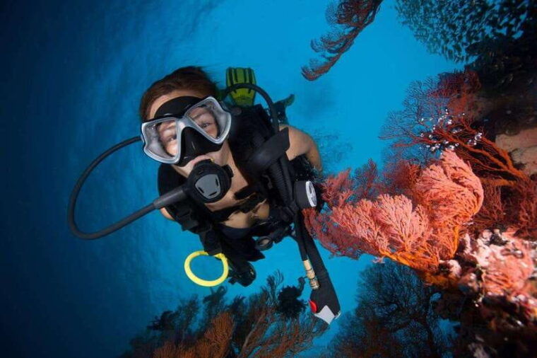 phuket-phi-phi-islands-shark-point-certified-scuba-dives