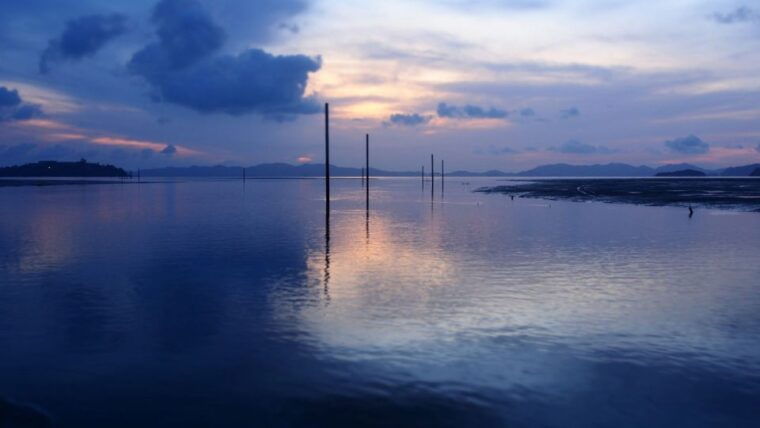phuket-to-phi-phi-full-day-luxury-speed-boat-charter