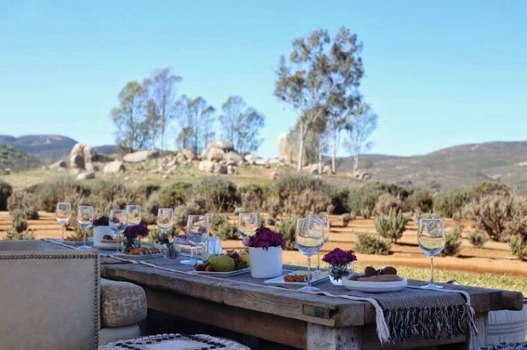picnic-among-lavender