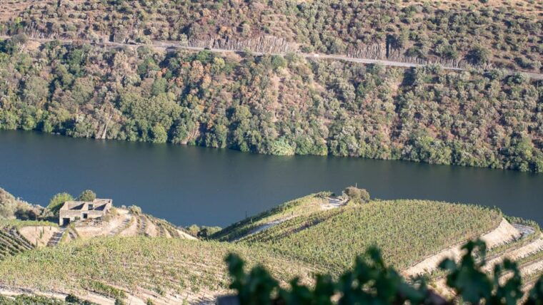 pinhao-quinta-da-formigosa-vineyard-tour-and-wine-tasting