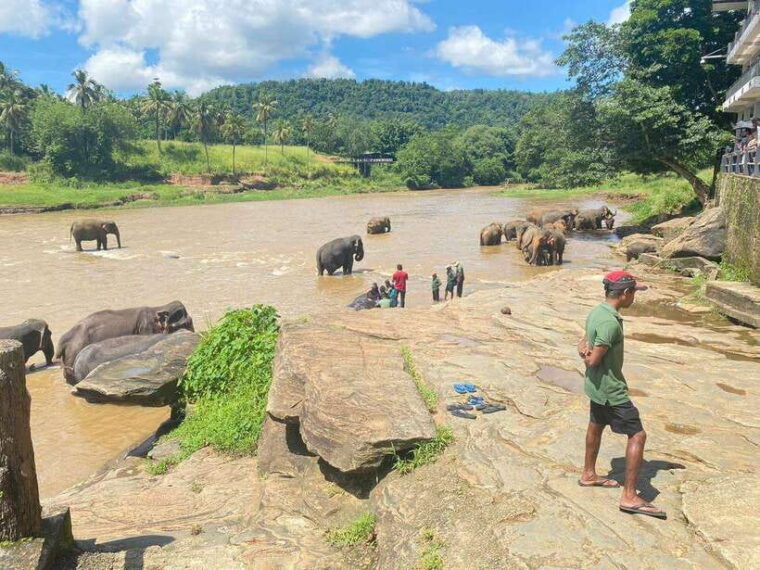 pinnawalakandy-day-tour-from-colombo-negombo