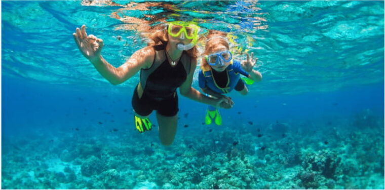 playa-del-carmen-snorkel-tour-at-local-reef
