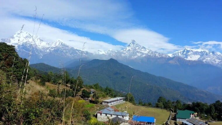 pokhara-3-day-astam-dhampus-and-australian-camp-trek-2