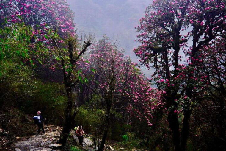pokhara-4-day-poon-hill-and-ghandruk-guided-trek