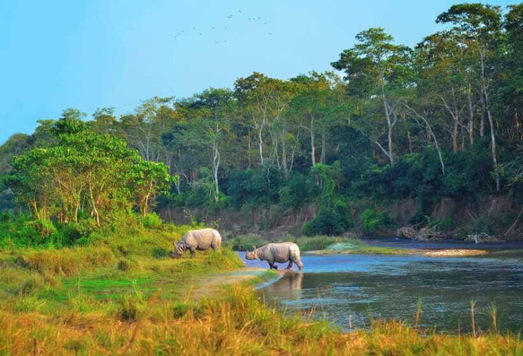 pokhara-or-kathmandu-3-day-chitwan-jungle-safari-tour
