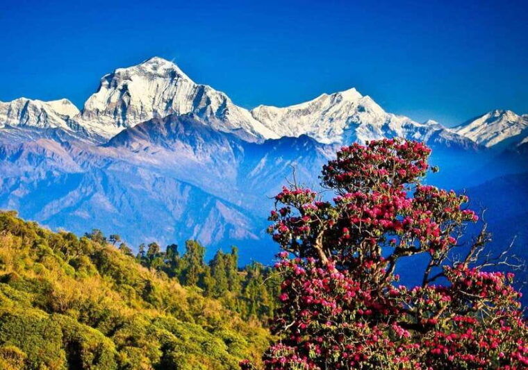 poon-hill-trek-2-days