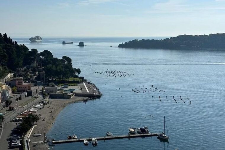 portofino-gems-of-monterosso-and-rapallo-private-boat-tour