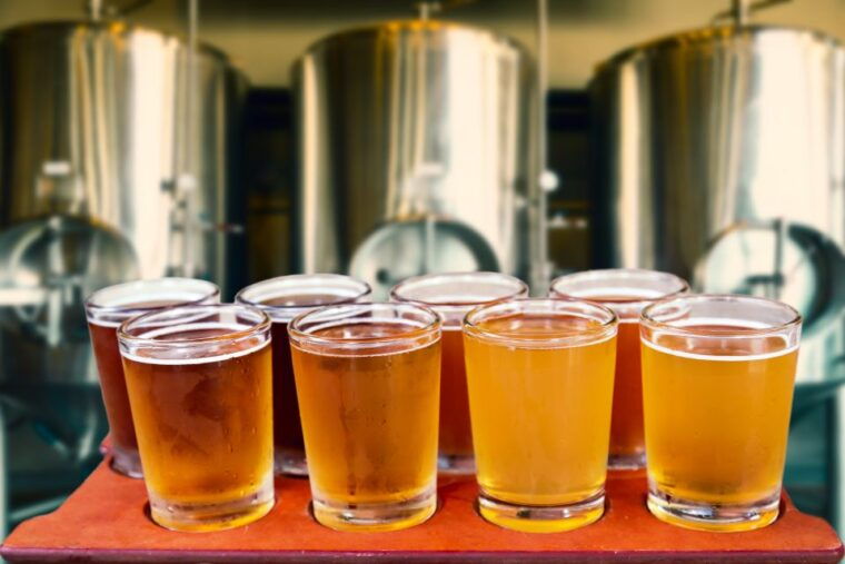 poznan-private-polish-beer-tasting-tour
