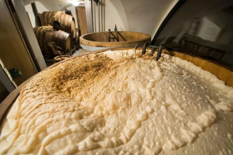 prague-beer-tasting-and-brewery-tour