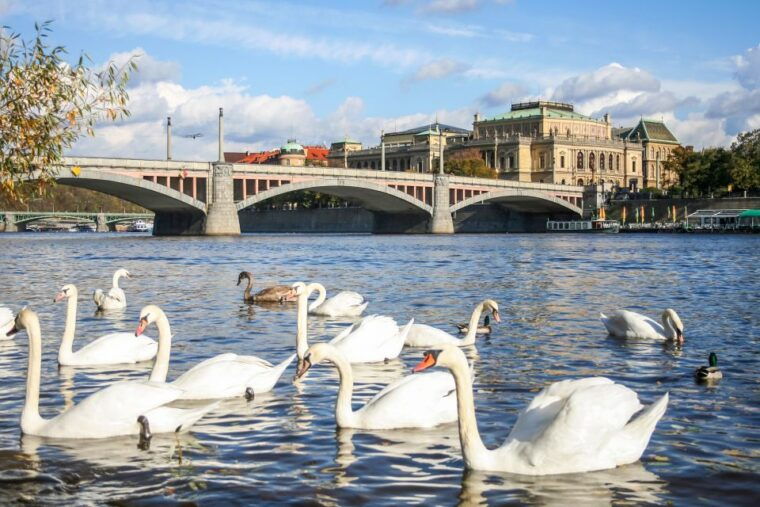 prague-panoramic-vltava-river-cruise