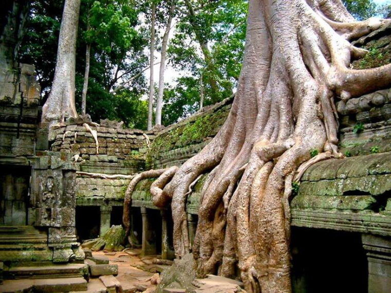 private-angkor-sunrise-guide-breakfast-and-tuktuk-included