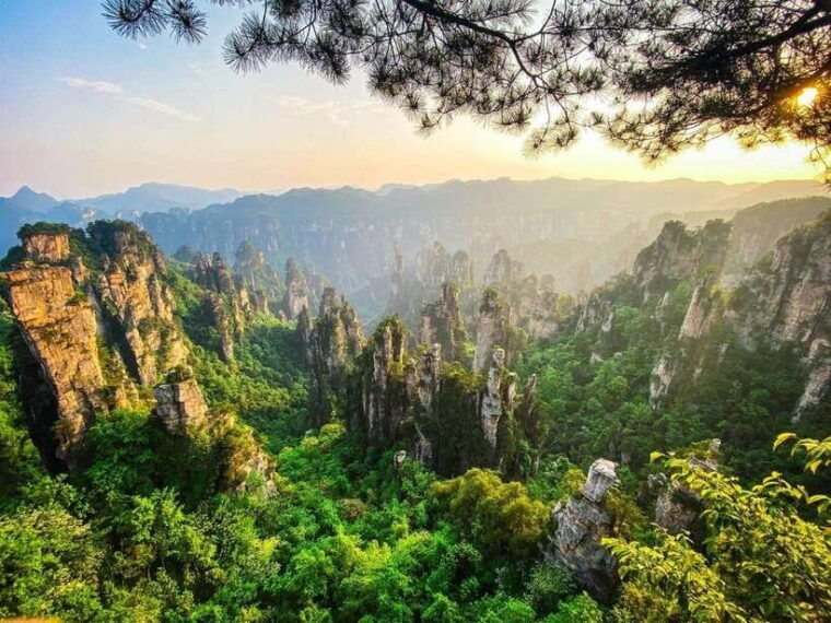 private-avatar-vip-zhangjiajie-national-forest-park-day-tour