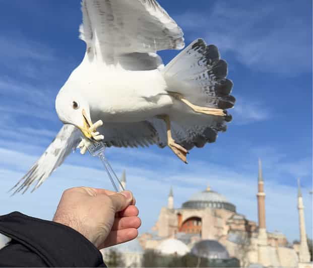 private-guided-istanbul-luxury-tour-tickets-and-transfers