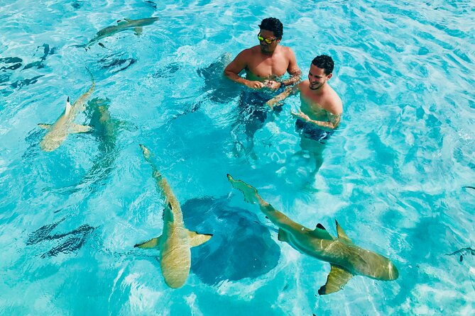 Private Half Day Snorkeling in Moorea - Final Thoughts