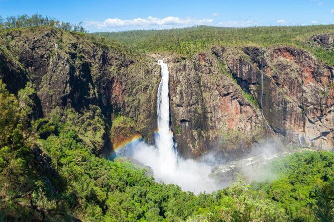 Private Half Day Tour: World Heritage Rainforest & Waterfall - Final Thoughts