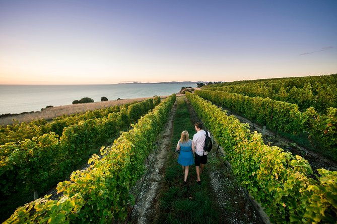 Private Marlborough Winery Tour - Who Should Consider This Tour?