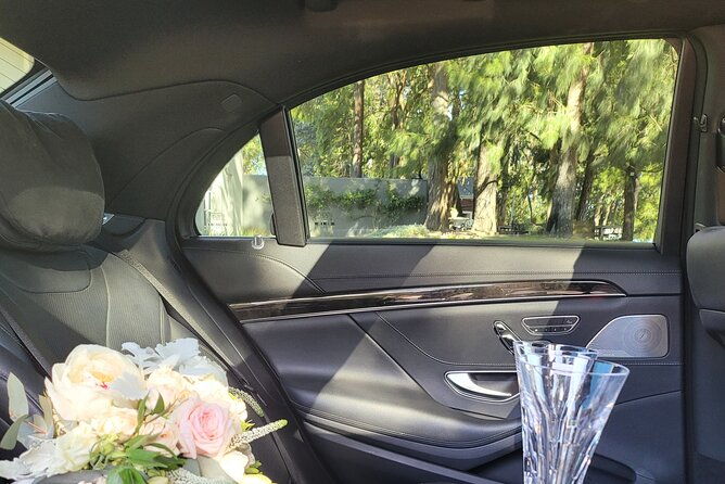Private Melbourne CBD Sightseeing Tour  luxury vehicle - Who Should Consider This Service?