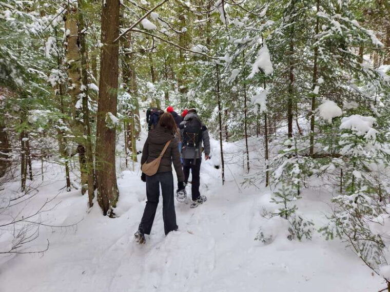 private-nottawasaga-bluffs-caves-snowshoe-creemore-collingwd