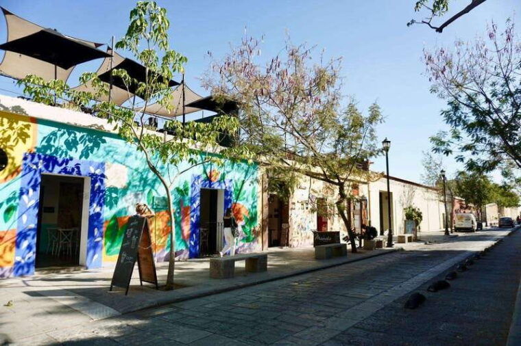 private-oaxaca-street-food-historic-city-tour-best-rated