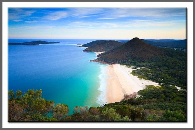 Private Port Stephens Day Trip from Sydney incl Dolphin Cruise - The Sum Up