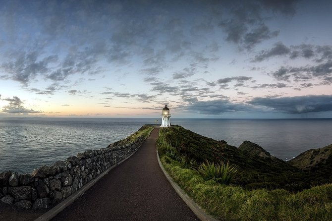 Private Tour [4 Days]: Hokianga, Tane Mahuta & Bay of Islands - Final Thoughts