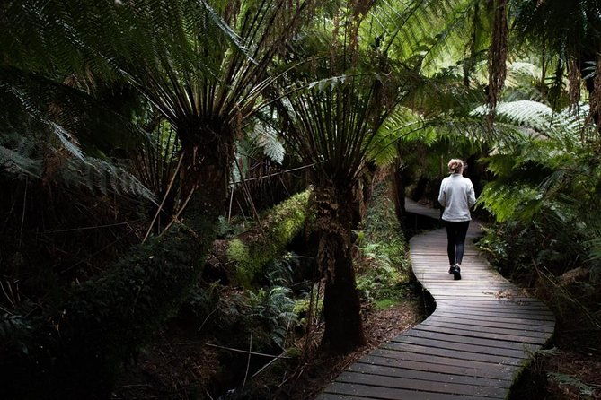 Private Tour of Melbourne - Frequently Asked Questions