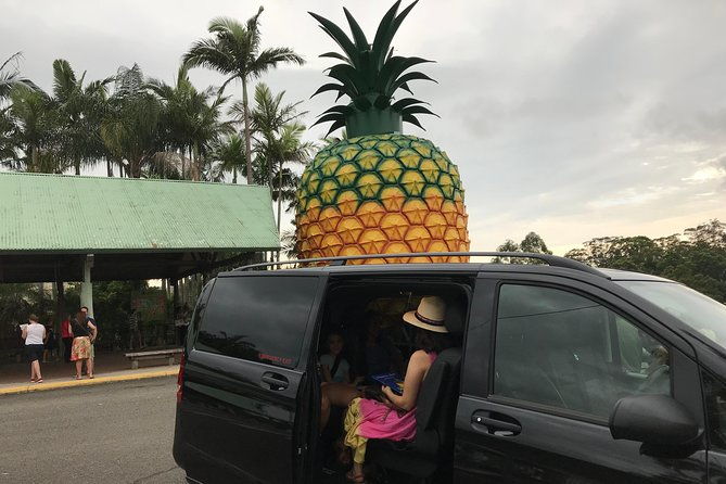 Private Transfer from Sunshine Coast Airport to Noosa 7 seater + Luggage Trailer - FAQ