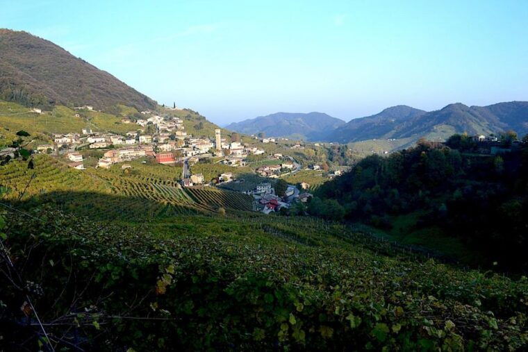 private-venetian-hills-wine-tour