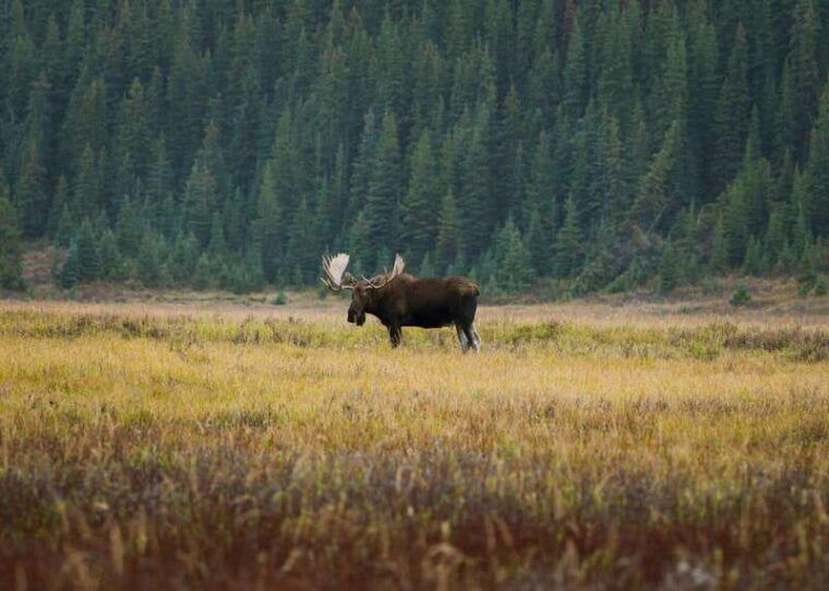 private-wilderness-and-wildlife-walking-tour-2-5h