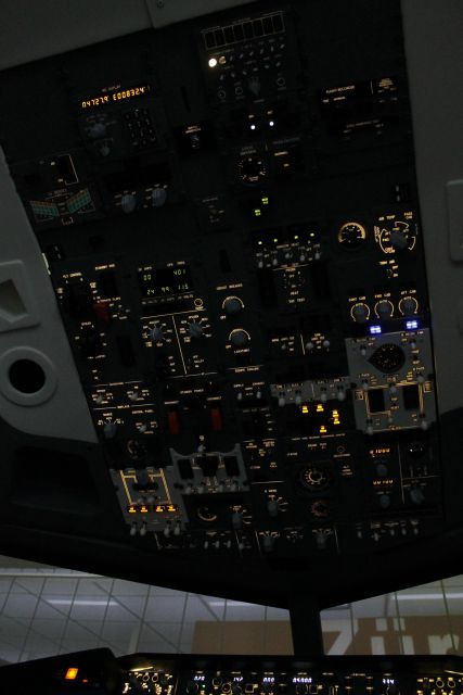 professional-boeing-737-800-simulator-100-minutes