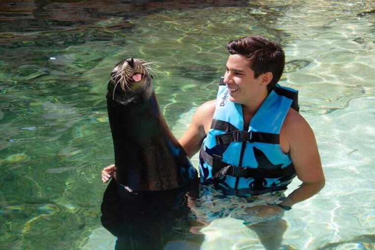 puerto-aventuras-sea-lion-discovery-ticket