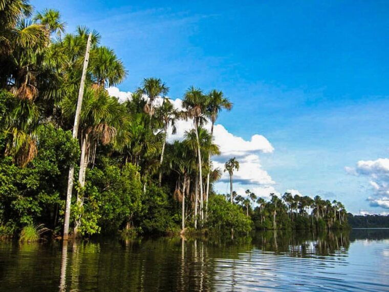 puerto-maldonado-lake-sandoval-full-day