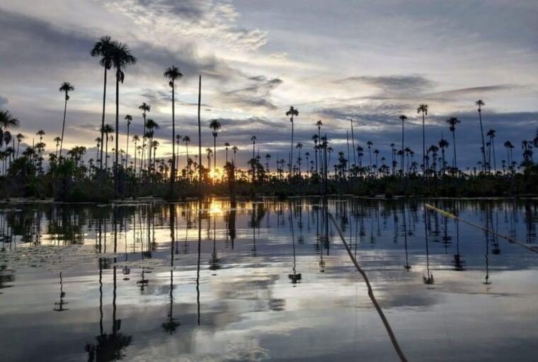 puerto-maldonado-visit-to-lake-yacumama-and-enjoy-the-sunset