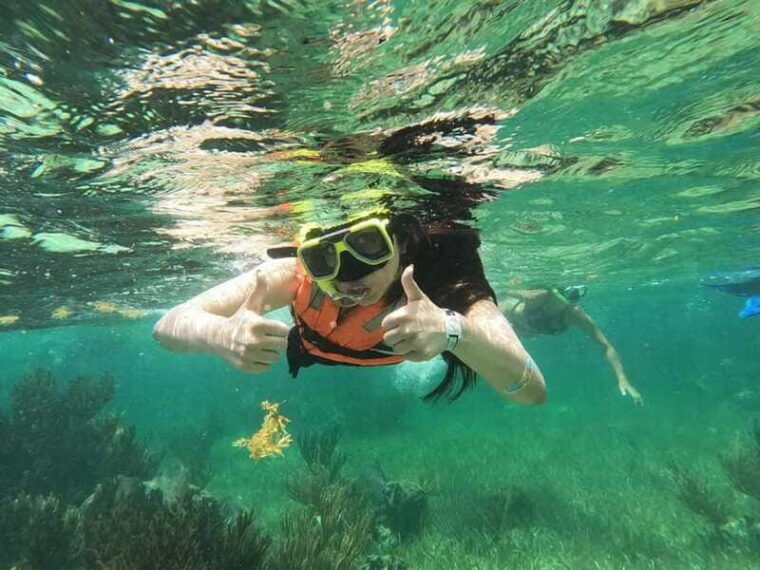 puerto-morelos-guided-snorkeling-tour-with-gear-fees