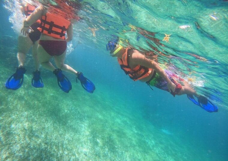 puerto-morelos-reef-snorkeling-adventure-with-transport