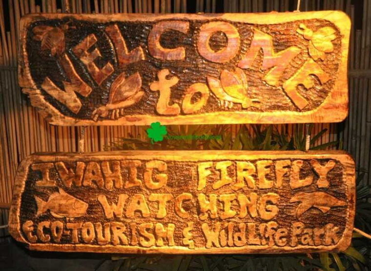 puerto-princesa-firefly-watching-shared-tour