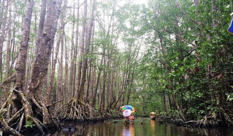 puerto-princesa-underground-river-zipline-paddleboat-tour